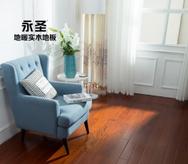 番龍眼217