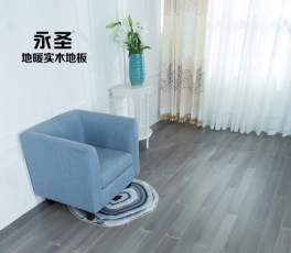 番龍眼219