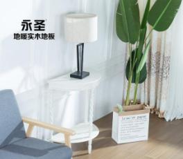 番龍眼221