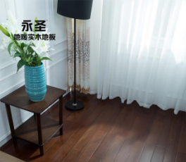 番龍眼223