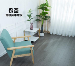 番龍眼226