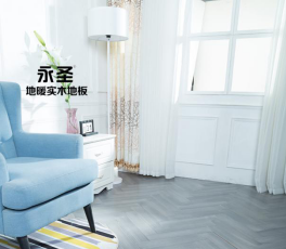 番龍眼246