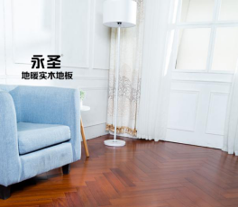 番龍眼245
