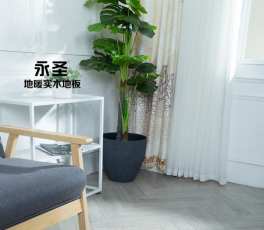 櫟木483