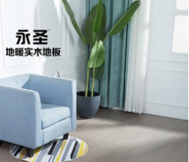 番龍眼8812
